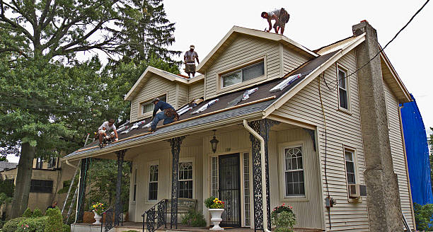 Best Storm Damage Roof Repair  in University Heights, OH